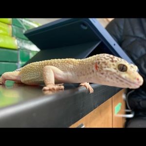 Meet your Posher, Jaden